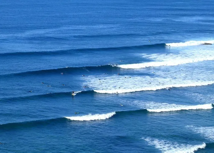Omassim Ericeira